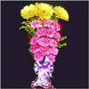 Cheers Abound - Click here to View more details about this Product